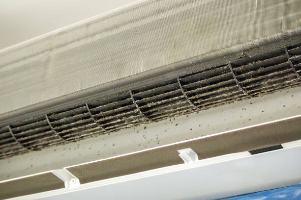 Best HVAC Air Duct Cleaning  in Barview, OR